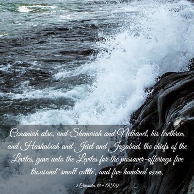 Picture 03 - 2 Chronicles 35:9 ASV - Conaniah also, and Shemaiah and Nethanel, his - Bible Verse Picture