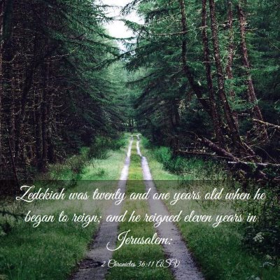 Picture 03 - 2 Chronicles 36:11 ASV - Zedekiah was twenty and one years old when he - Bible Verse Picture