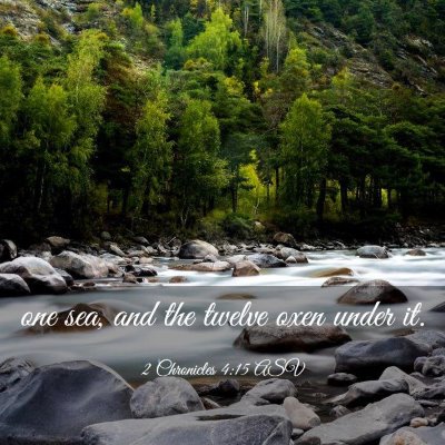 Picture 03 - 2 Chronicles 4:15 ASV - one sea, and the twelve oxen under - Bible Verse Picture