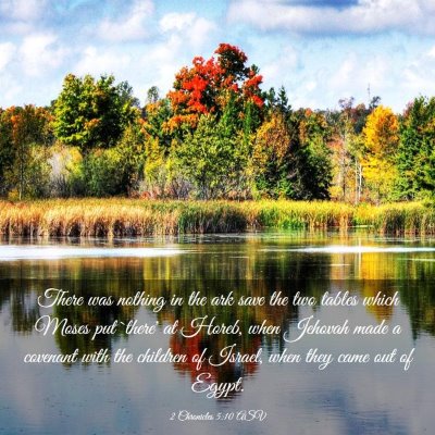 Picture 03 - 2 Chronicles 5:10 ASV - There was nothing in the ark save the two tables - Bible Verse Picture