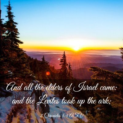 Picture 03 - 2 Chronicles 5:4 ASV - And all the elders of Israel came: and the - Bible Verse Picture