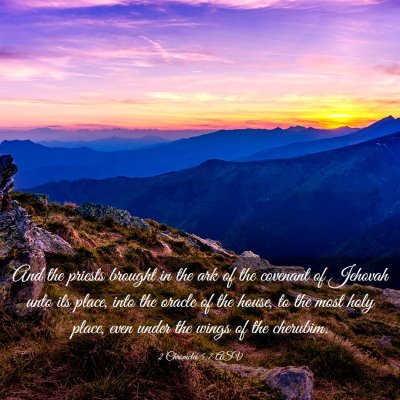Picture 03 - 2 Chronicles 5:7 ASV - And the priests brought in the ark of the - Bible Verse Picture