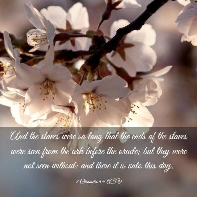 Picture 03 - 2 Chronicles 5:9 ASV - And the staves were so long that the ends of the - Bible Verse Picture