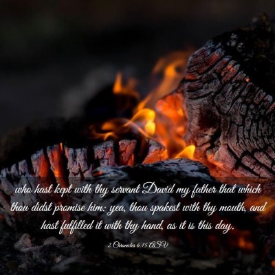 Picture 03 - 2 Chronicles 6:15 ASV - who hast kept with thy servant David my father - Bible Verse Picture