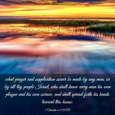 Picture 03 - 2 Chronicles 6:29 ASV - what prayer and supplication soever be made by - Bible Verse Picture