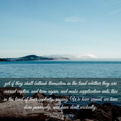 Picture 03 - 2 Chronicles 6:37 ASV - yet if they shall bethink themselves in the land - Bible Verse Picture