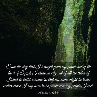 Picture 03 - 2 Chronicles 6:5 ASV - Since the day that I brought forth my people out - Bible Verse Picture