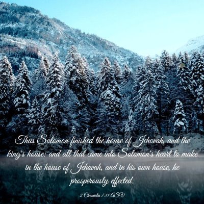 Picture 03 - 2 Chronicles 7:11 ASV - Thus Solomon finished the house of Jehovah, and - Bible Verse Picture
