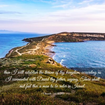 Picture 03 - 2 Chronicles 7:18 ASV - then I will establish the throne of thy kingdom, - Bible Verse Picture