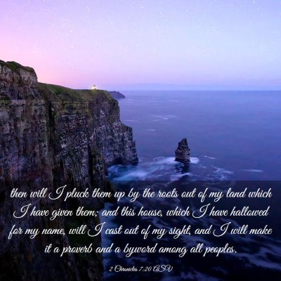Picture 03 - 2 Chronicles 7:20 ASV - then will I pluck them up by the roots out of my - Bible Verse Picture
