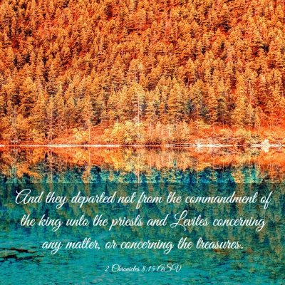 Picture 03 - 2 Chronicles 8:15 ASV - And they departed not from the commandment of the - Bible Verse Picture