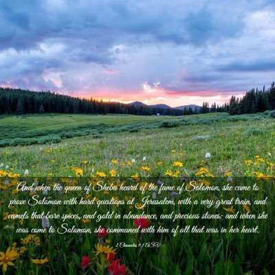 Picture 03 - 2 Chronicles 9:1 ASV - And when the queen of Sheba heard of the fame of - Bible Verse Picture