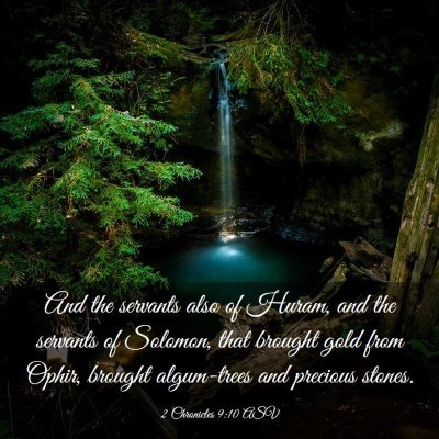Picture 03 - 2 Chronicles 9:10 ASV - And the servants also of Huram, and the servants - Bible Verse Picture