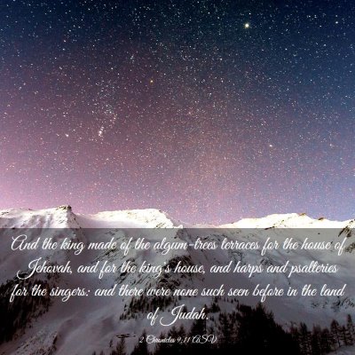 Picture 03 - 2 Chronicles 9:11 ASV - And the king made of the algum-trees terraces for - Bible Verse Picture
