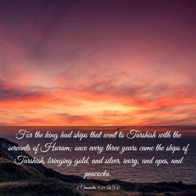 Picture 03 - 2 Chronicles 9:21 ASV - For the king had ships that went to Tarshish with - Bible Verse Picture