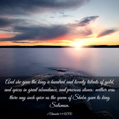 Picture 03 - 2 Chronicles 9:9 ASV - And she gave the king a hundred and twenty - Bible Verse Picture