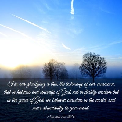 Picture 03 - 2 Corinthians 1:12 ASV - For our glorifying is this, the testimony of our - Bible Verse Picture