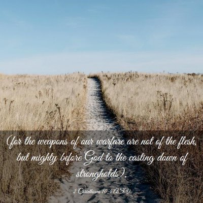 Picture 03 - 2 Corinthians 10:4 ASV - (for the weapons of our warfare are not of the - Bible Verse Picture