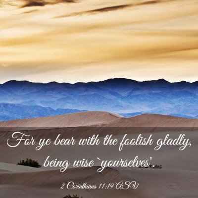 Picture 03 - 2 Corinthians 11:19 ASV - For ye bear with the foolish gladly, being wise - Bible Verse Picture