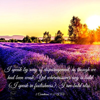 Picture 03 - 2 Corinthians 11:21 ASV - I speak by way of disparagement, as though we had - Bible Verse Picture