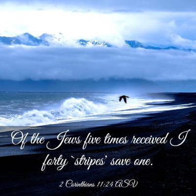 Picture 03 - 2 Corinthians 11:24 ASV - Of the Jews five times received I forty `stripes' - Bible Verse Picture