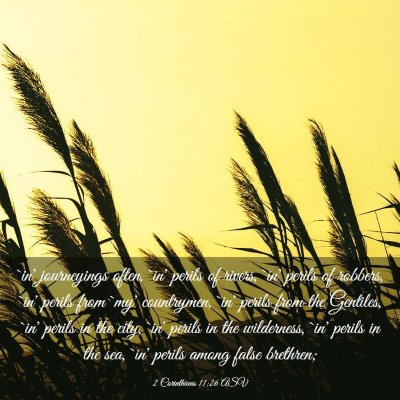 Picture 03 - 2 Corinthians 11:26 ASV - `in' journeyings often, `in' perils of rivers, - Bible Verse Picture