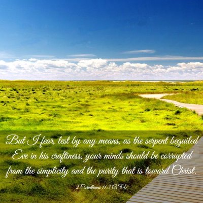 Picture 03 - 2 Corinthians 11:3 ASV - But I fear, lest by any means, as the serpent - Bible Verse Picture
