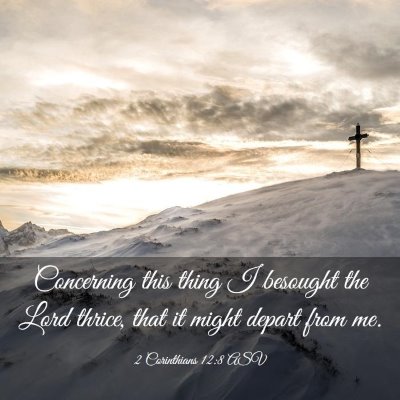 Picture 03 - 2 Corinthians 12:8 ASV - Concerning this thing I besought the Lord thrice, - Bible Verse Picture