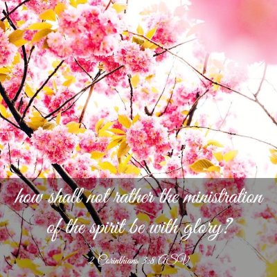 Picture 03 - 2 Corinthians 3:8 ASV - how shall not rather the ministration of the - Bible Verse Picture