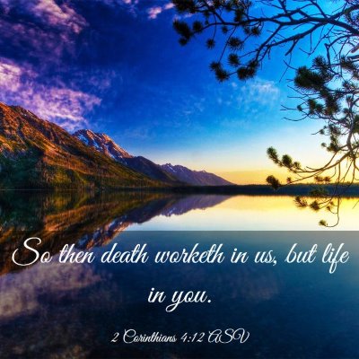 Picture 03 - 2 Corinthians 4:12 ASV - So then death worketh in us, but life in - Bible Verse Picture