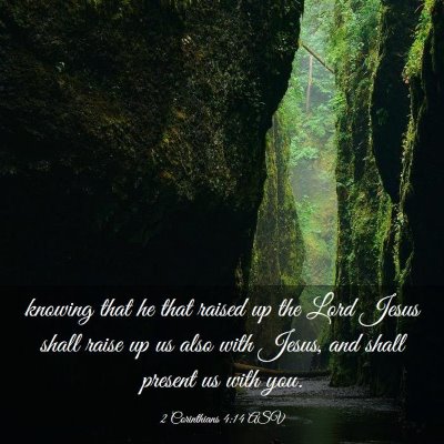 Picture 03 - 2 Corinthians 4:14 ASV - knowing that he that raised up the Lord Jesus - Bible Verse Picture