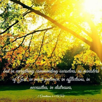 Picture 03 - 2 Corinthians 6:4 ASV - but in everything commending ourselves, as - Bible Verse Picture