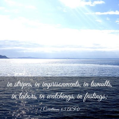 Picture 03 - 2 Corinthians 6:5 ASV - in stripes, in imprisonments, in tumults, in - Bible Verse Picture
