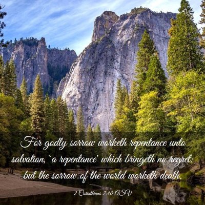 Picture 03 - 2 Corinthians 7:10 ASV - For godly sorrow worketh repentance unto - Bible Verse Picture