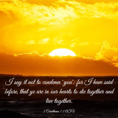 Picture 03 - 2 Corinthians 7:3 ASV - I say it not to condemn `you': for I have said - Bible Verse Picture