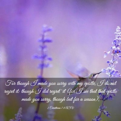 Picture 03 - 2 Corinthians 7:8 ASV - For though I made you sorry with my epistle, I do - Bible Verse Picture
