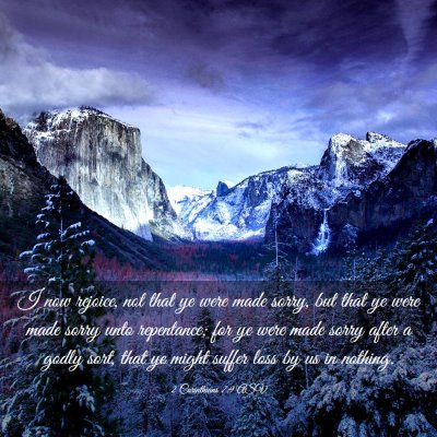 Picture 03 - 2 Corinthians 7:9 ASV - I now rejoice, not that ye were made sorry, but - Bible Verse Picture