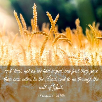 Picture 03 - 2 Corinthians 8:5 ASV - and `this', not as we had hoped, but first they - Bible Verse Picture