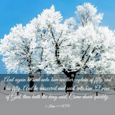 Picture 03 - 2 Kings 1:11 ASV - And again he sent unto him another captain of - Bible Verse Picture