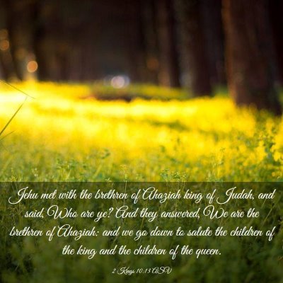 Picture 03 - 2 Kings 10:13 ASV - Jehu met with the brethren of Ahaziah king of - Bible Verse Picture