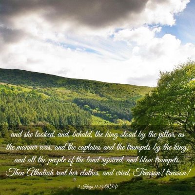 Picture 03 - 2 Kings 11:14 ASV - and she looked, and, behold, the king stood by - Bible Verse Picture