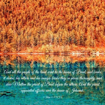 Picture 03 - 2 Kings 11:18 ASV - And all the people of the land went to the house - Bible Verse Picture