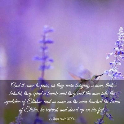 Picture 03 - 2 Kings 13:21 ASV - And it came to pass, as they were burying a man, - Bible Verse Picture