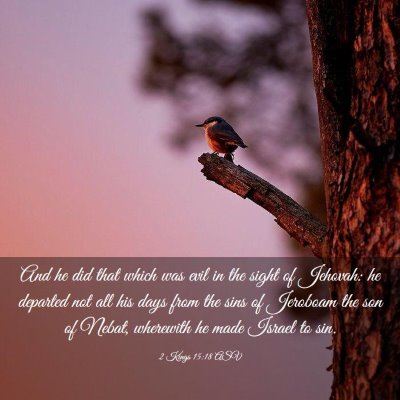 Picture 03 - 2 Kings 15:18 ASV - And he did that which was evil in the sight of - Bible Verse Picture