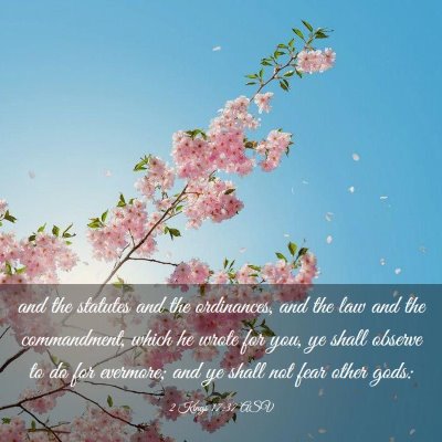Picture 03 - 2 Kings 17:37 ASV - and the statutes and the ordinances, and the law - Bible Verse Picture
