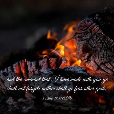 Picture 03 - 2 Kings 17:38 ASV - and the covenant that I have made with you ye - Bible Verse Picture