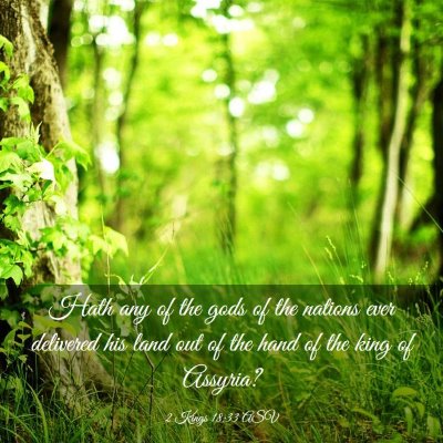 Picture 03 - 2 Kings 18:33 ASV - Hath any of the gods of the nations ever - Bible Verse Picture