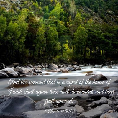 Picture 03 - 2 Kings 19:30 ASV - And the remnant that is escaped of the house of - Bible Verse Picture