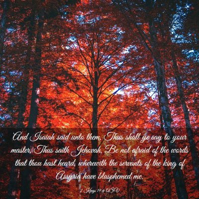 Picture 03 - 2 Kings 19:6 ASV - And Isaiah said unto them, Thus shall ye say to - Bible Verse Picture
