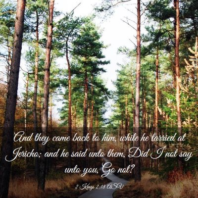 Picture 03 - 2 Kings 2:18 ASV - And they came back to him, while he tarried at - Bible Verse Picture
